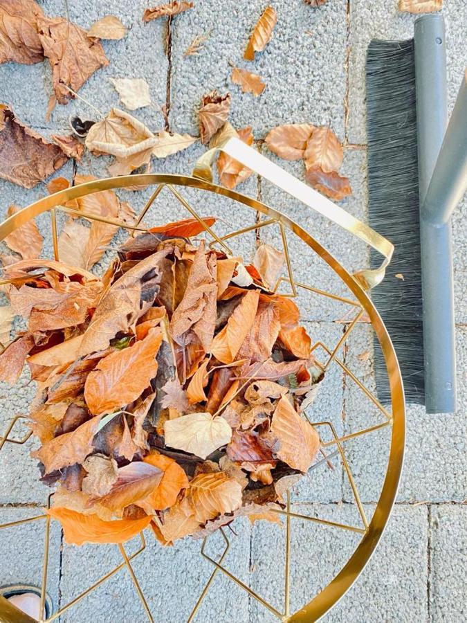 Ferienwohnung Oba'Doba Falke Pfronten Eksteriør billede